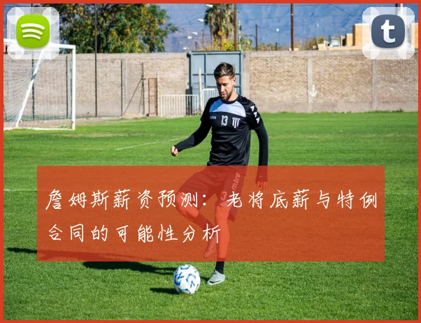 詹姆斯薪资预测：老将底薪与特例合同的可能性分析